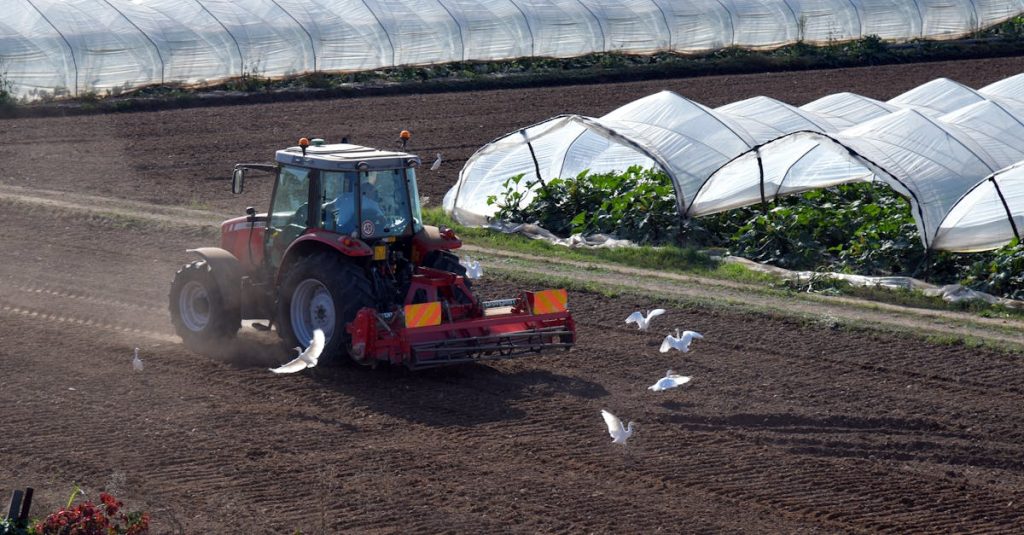 Red tractor plowing soil in an agricultural field next to greenhouses with birds flying around.