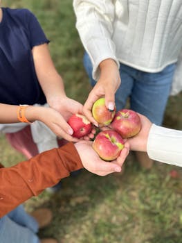 A group of people share freshly picked apples on a sunny day, showcasing a fun outdoor harvest.