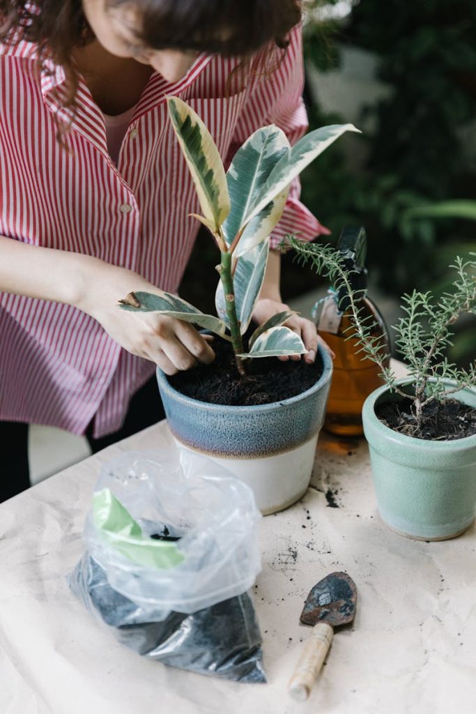 Woman potting plants indoors, showing growth and gardening tools in a calm setting.