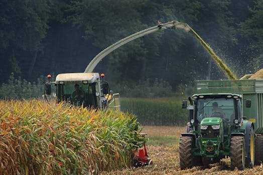 Tractor and harvester collecting corn on a sunny day in the countryside.