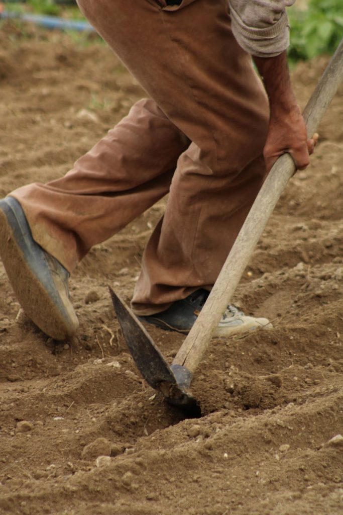 Close-up of a farmer plowing rich soil with a spade, highlighting traditional farming methods.